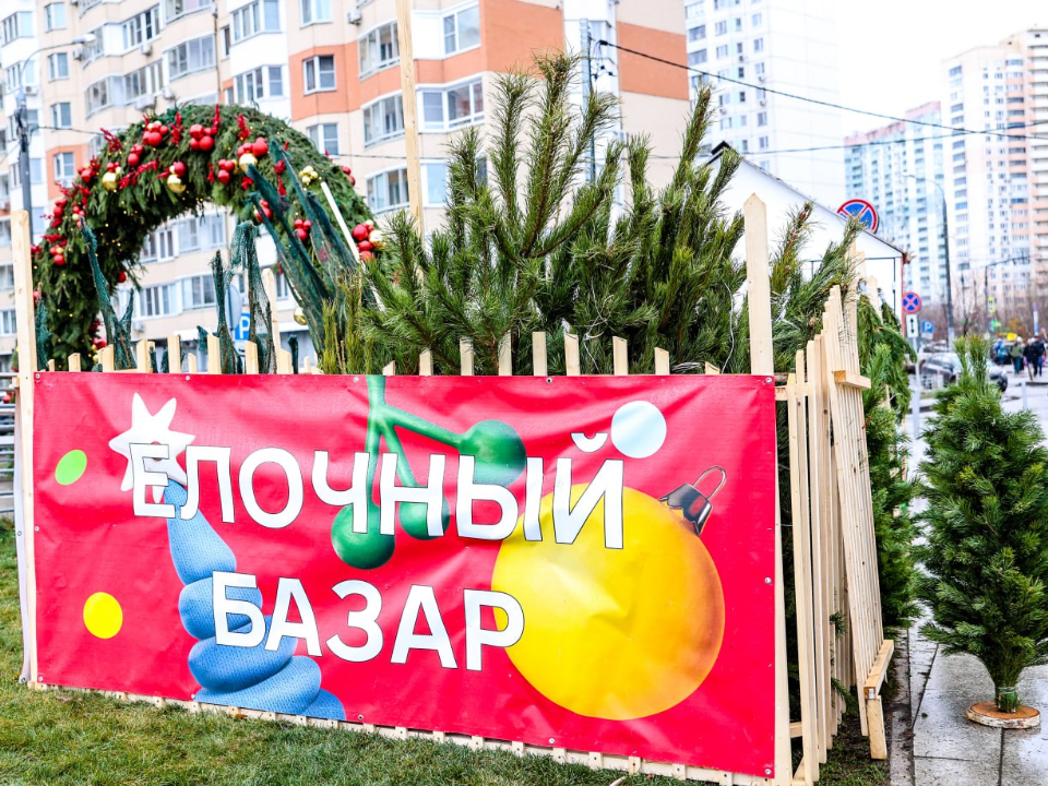 Фото: пресс-служба администрации г.о. Красногорск