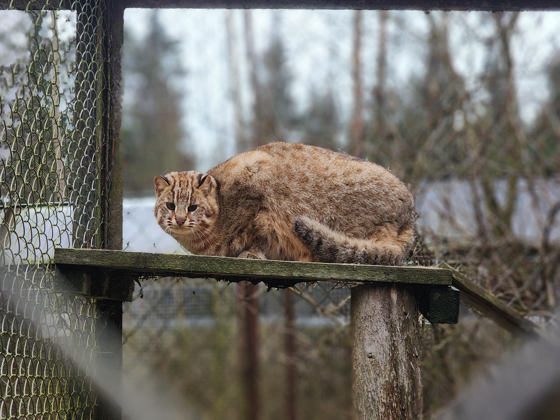 Фото: REGIONS/Иван Петрушин