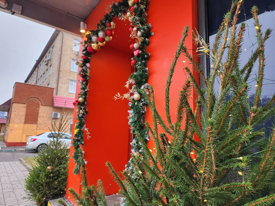 Фото: МедиаБанк Подмосковья/Мария Шигорева