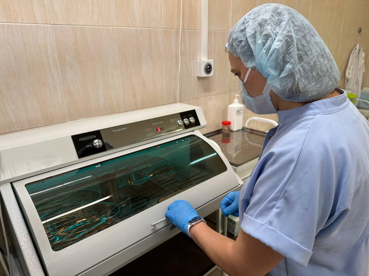 Фото: МедиаБанк Подмосковья/Эдуард Стратонов