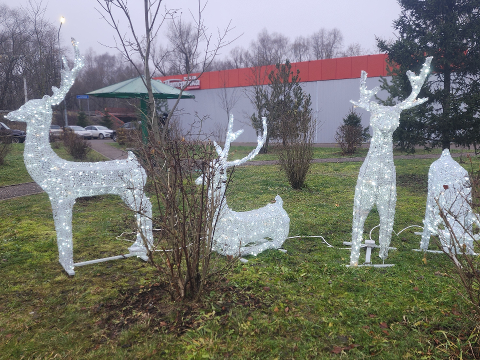 Фото: МедиаБанк Подмосковья/Валентина Максимова