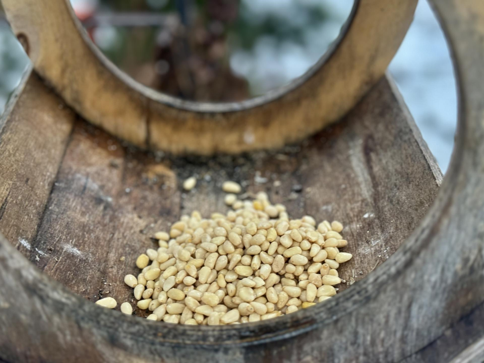 Фото: Полина Абраменко