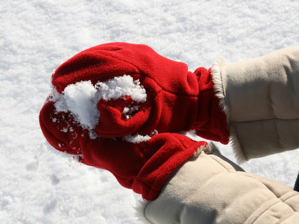 Фото: istockphoto.com/roomauction