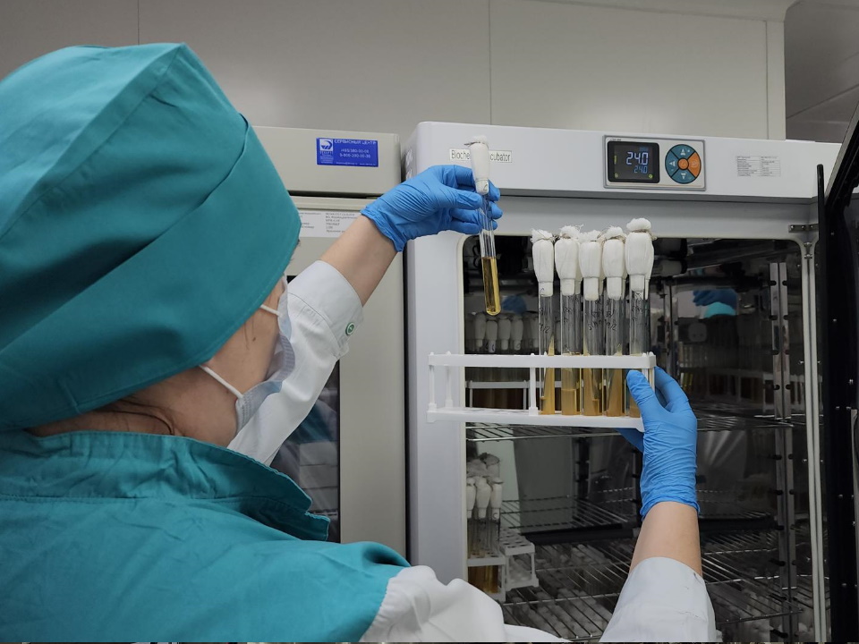 Фото: МедиаБанк Подмосковья/Валерия Тингаева