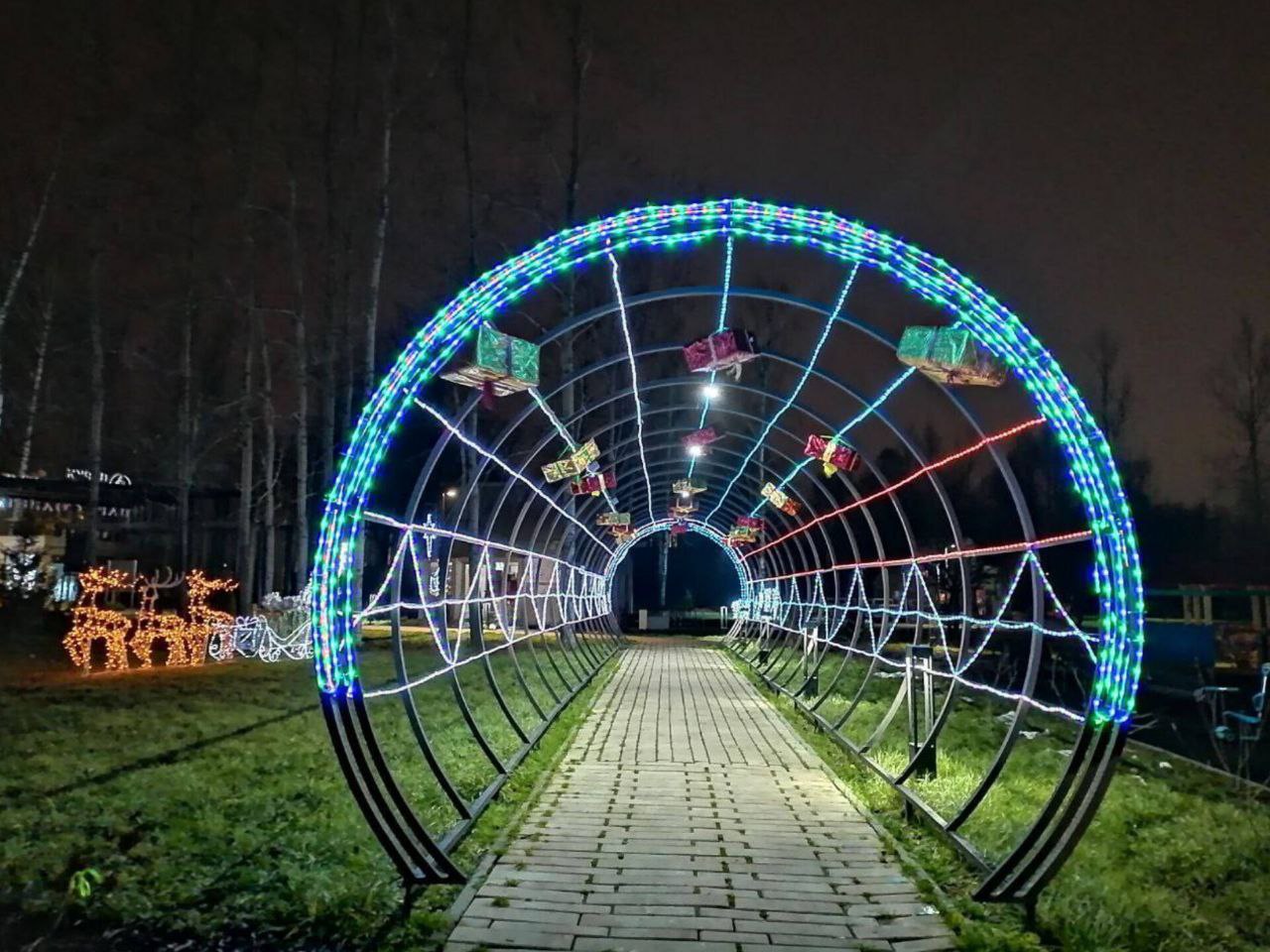 Фото: t.me/park_suncoast