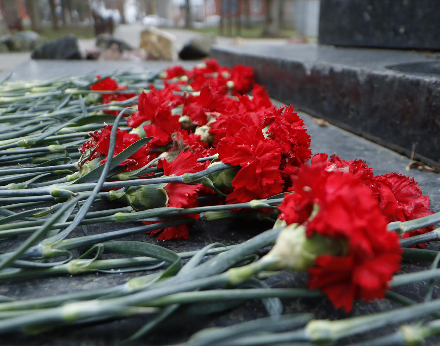 Фото: МедиаБанк Подмосковья/Татьяна Кострикина