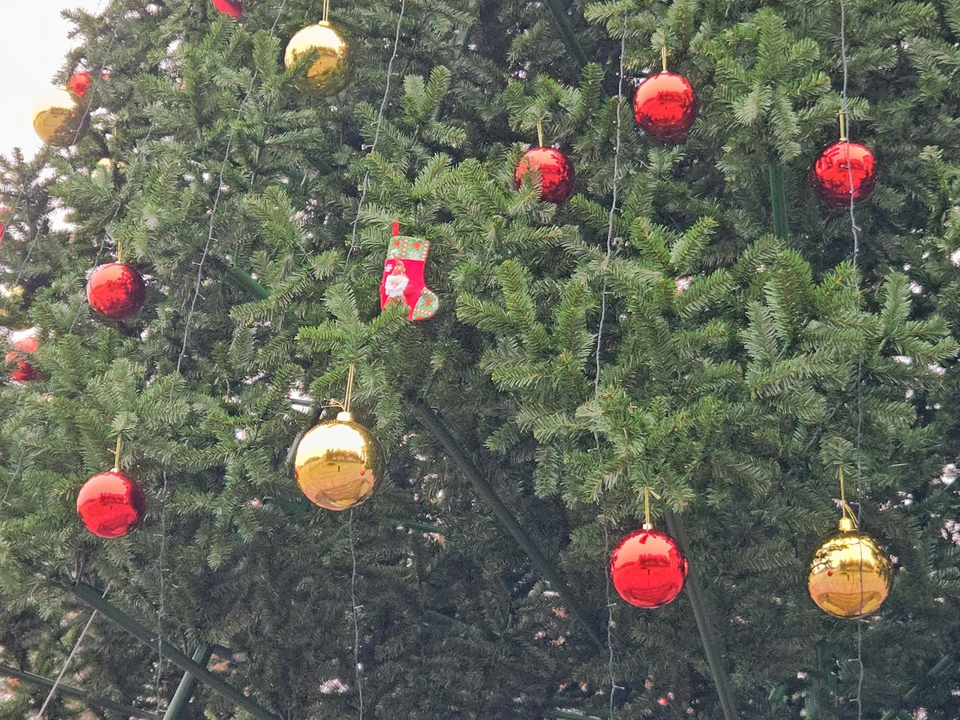 Фото: МедиаБанк Подмосковья/Ольга Вельшикаева