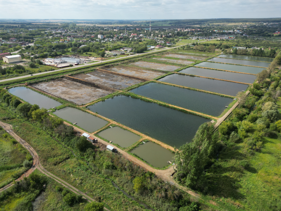 Фото: МедиаБанк Подмосковья/Ирина Матвеева