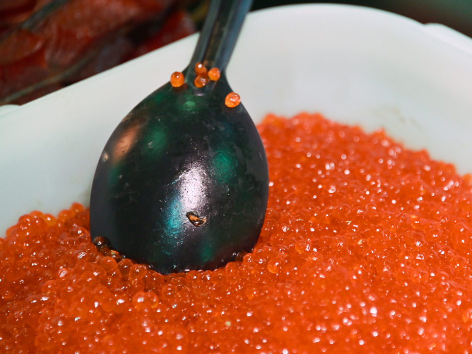 Фото: ТАСС/Николай Михальченко