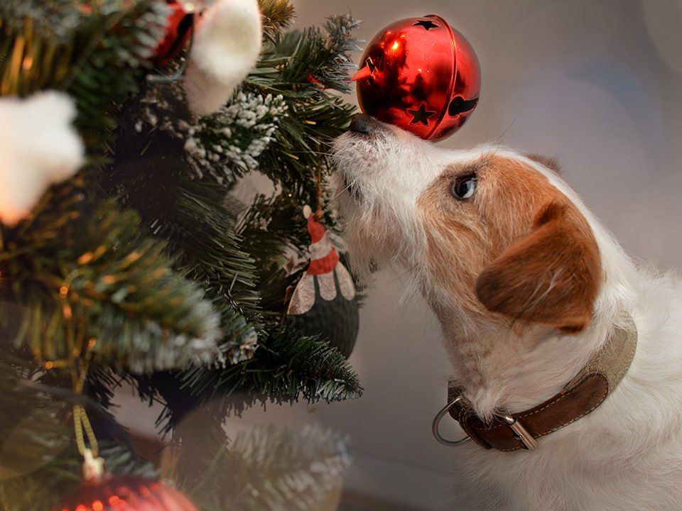   Фото: istockphoto.com/smrm1977