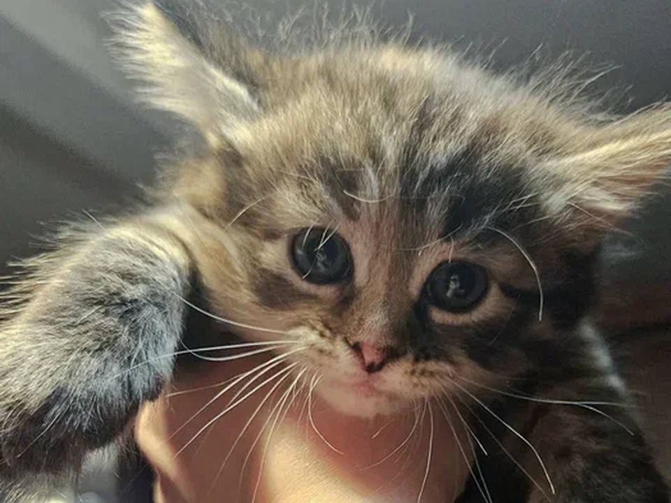 Фото: REGIONS/Наталия Надточая