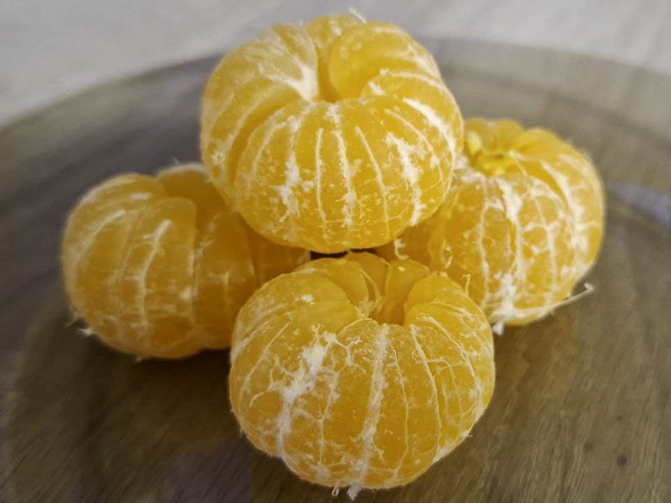 Фото: Юлия Габбасова