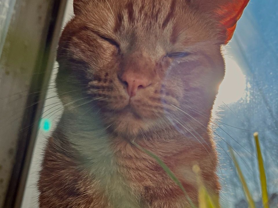 Фото: Максим Зубарев