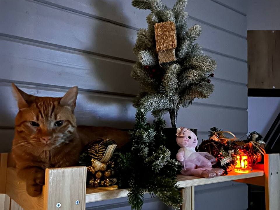 Фото: Максим Зубарев