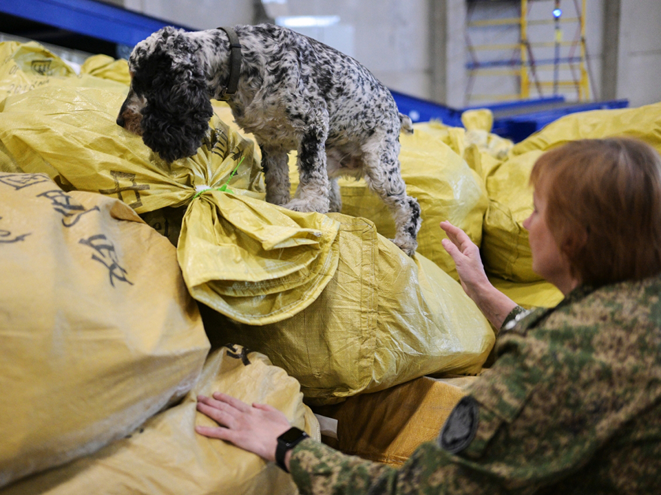 Фото: РИА Новости/Александр Кряжев