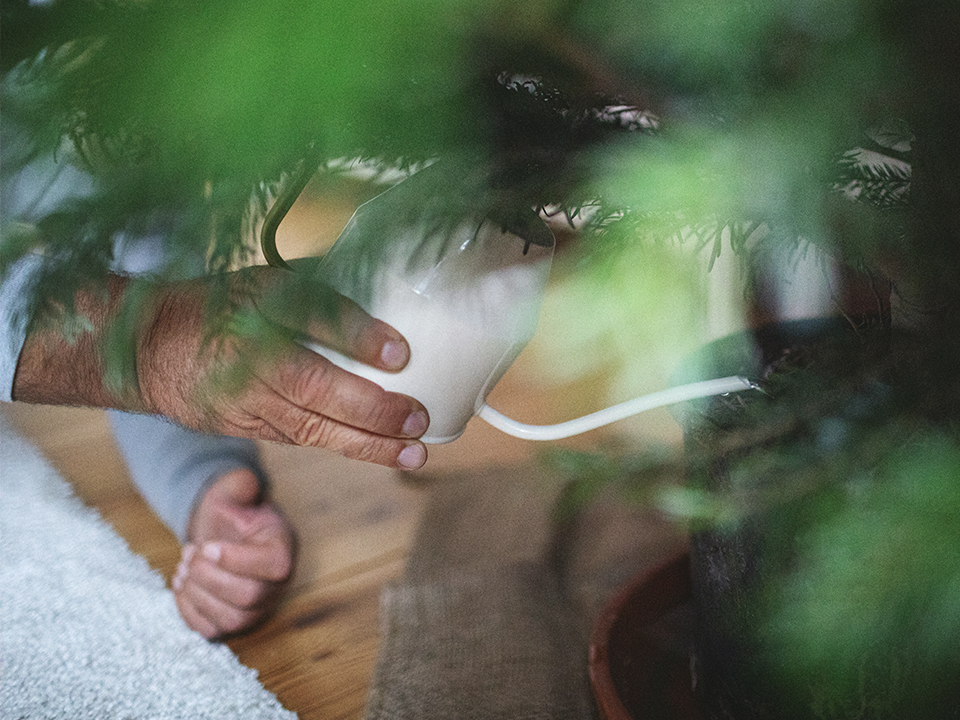 Фото: istockphoto.com/Rike_