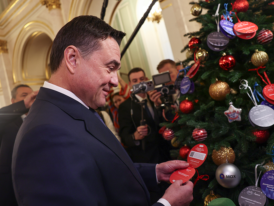 Фото: пресс-служба губернатора и правительства Московской области/Екатерина Агеева