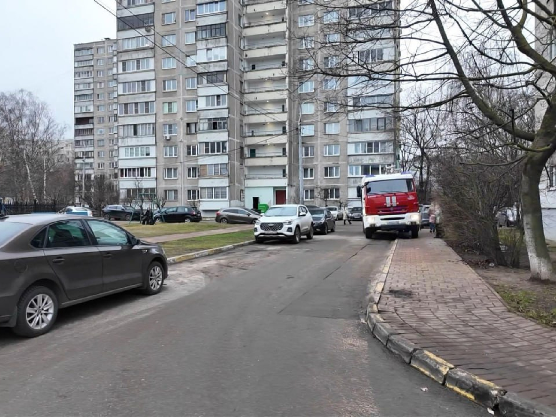 Фото: Раменский медиацентр