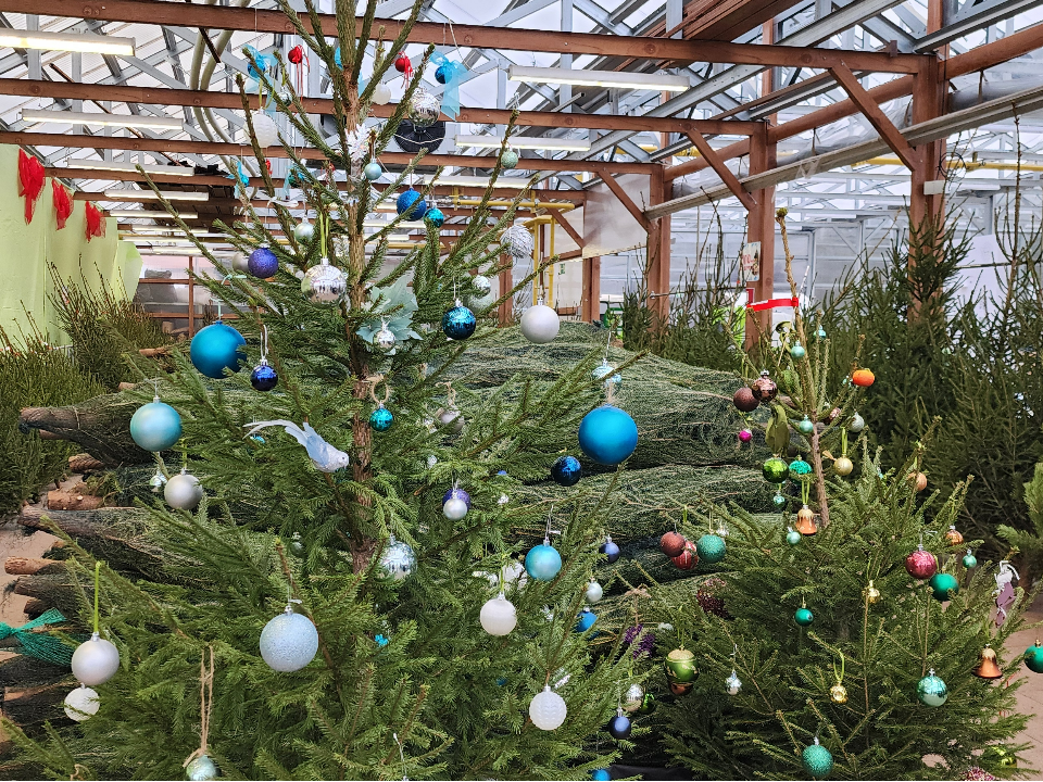 Фото: МедиаБанк Подмосковья/Максим Сафронов