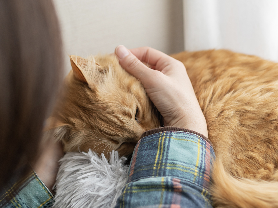 Фото: istockphoto.com/rai