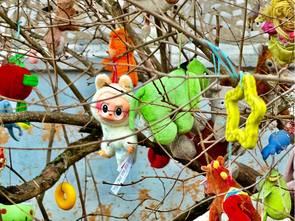 Фото: ТГ-канал «Орехово-Зуево»