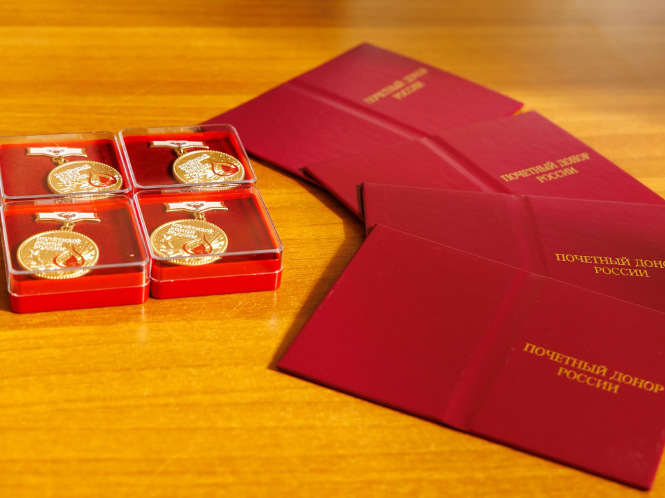 Фото: МедиаБанк Подмосковья/Наталья Лымарь