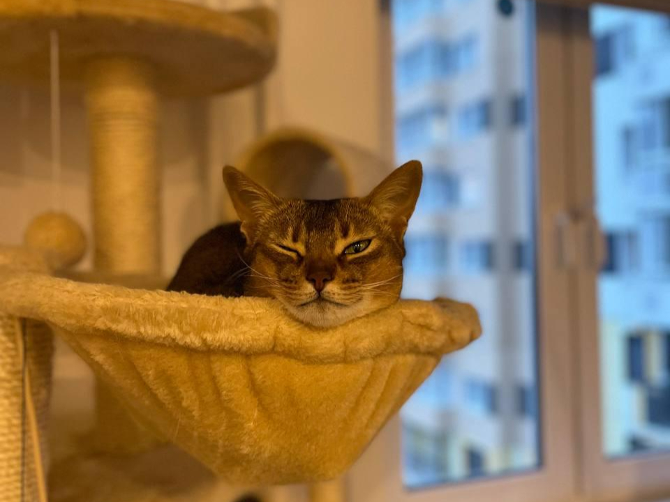 Фото: Министерство жилищной политики Московской области