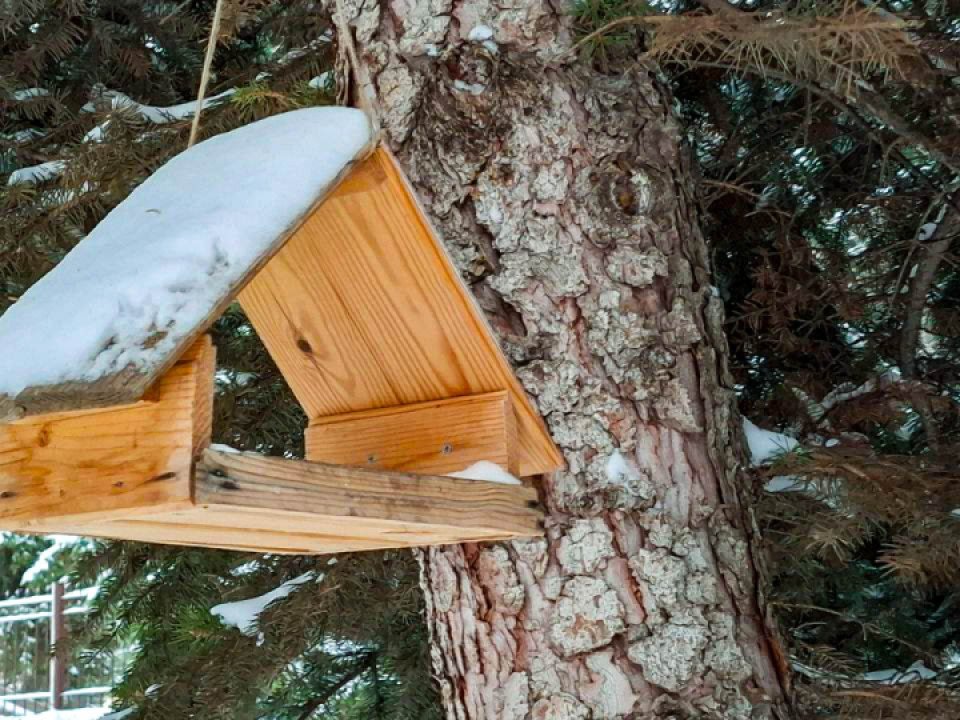 Фото: REGIONS/Юлия Габбасова