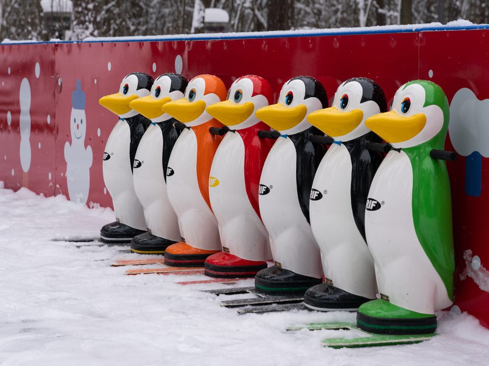 Фото: медиасток.рф