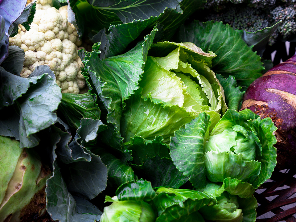 Фото: istockphoto.com/bondarillia