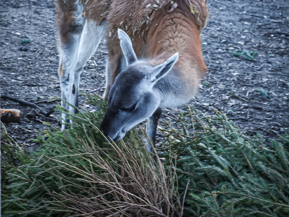 Фото: istockphoto.com/Kati Lenart 