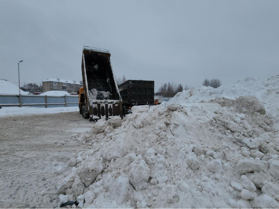 Фото: МедиаБанк Подмосковья/Артем Мишуков
