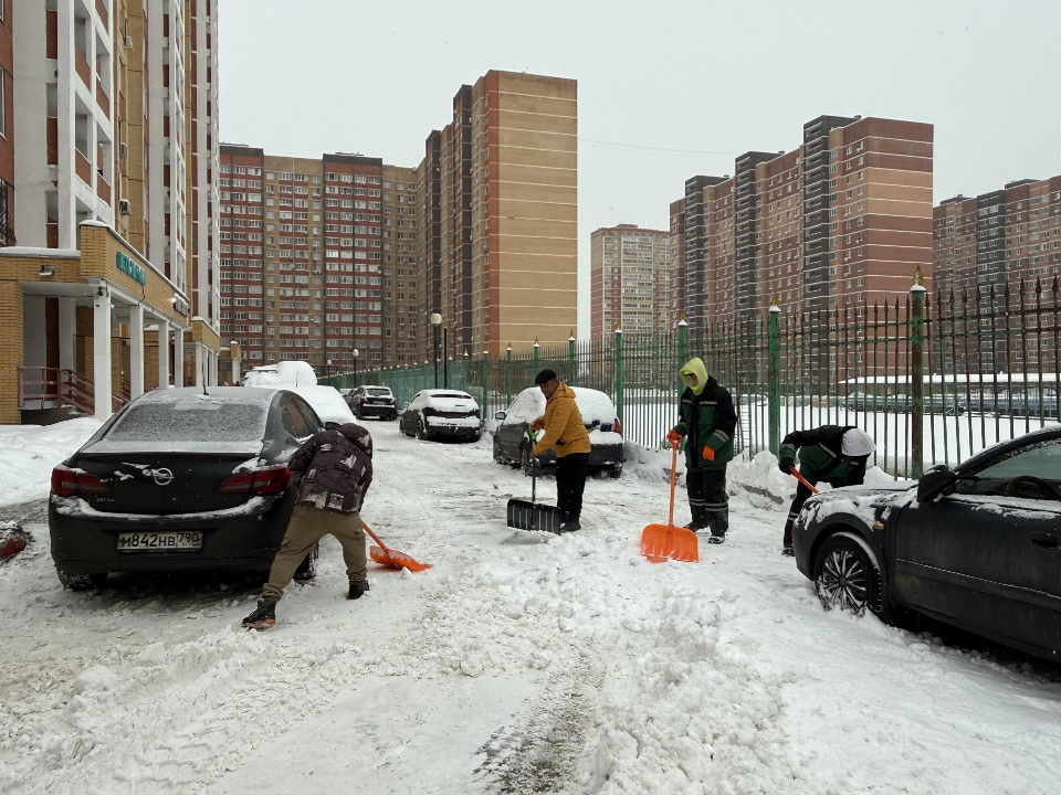 Фото: МедиаБанк Подмосковья/Анна Дука