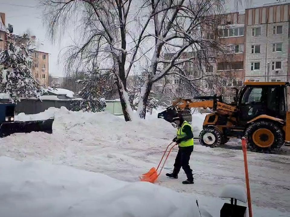 Фото: МедиаБанк Подмосковья/Ольга Антонова