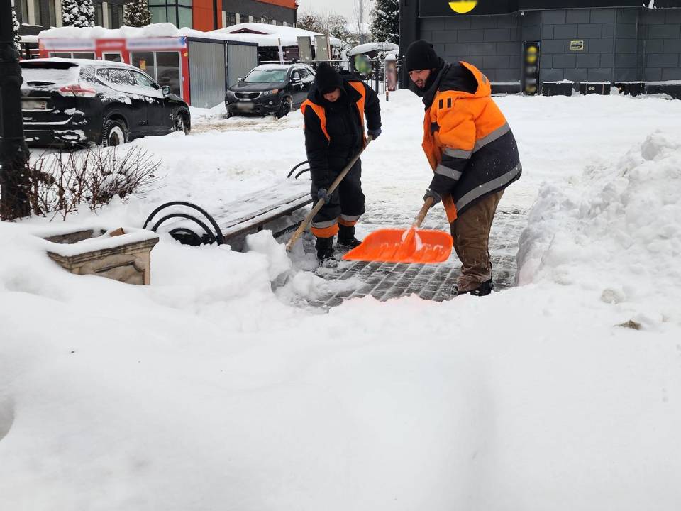 Фото: МедиаБанк Подмосковья/Мария Шигорева