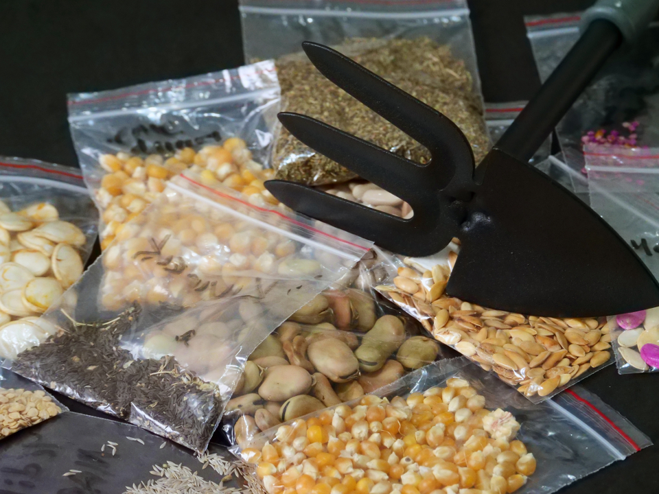 Фото: istockphoto.com/nzfhatipoglu 