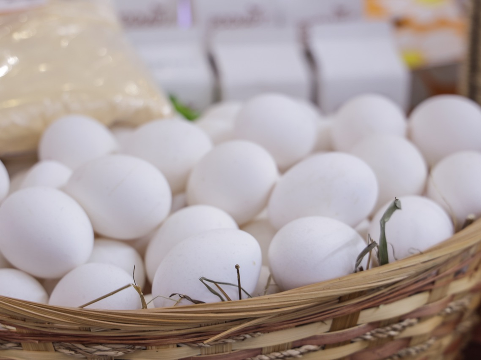 Фото: Министерство сельского хозяйства и продовольствия Московской области