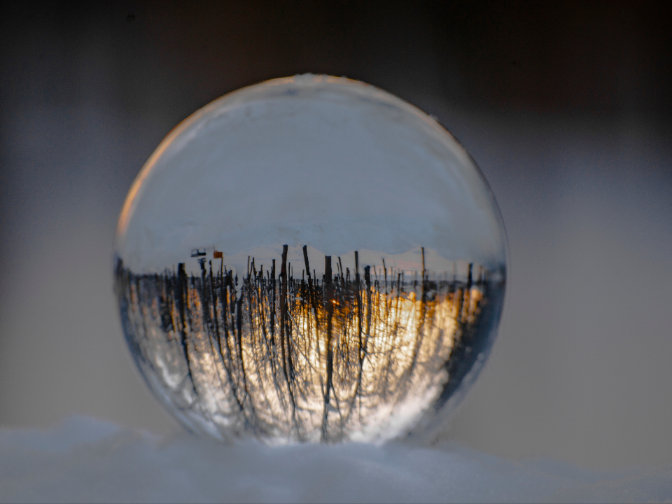 Фото: личный архив Дмитрия Снеткова