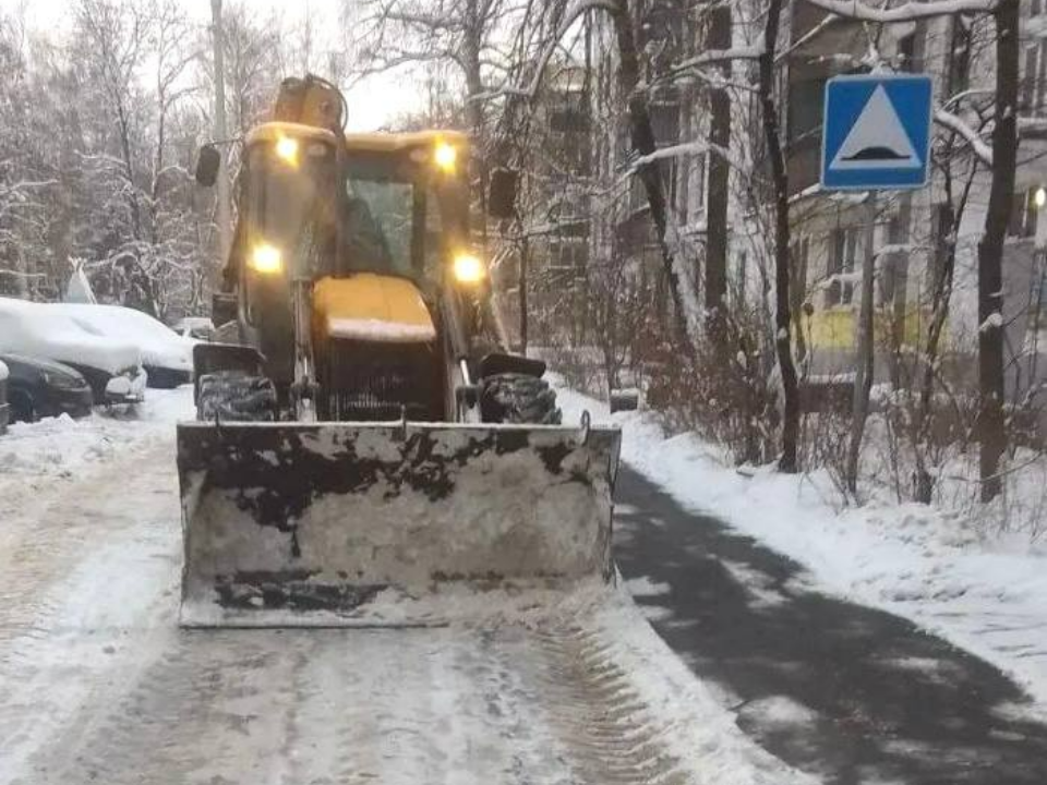Фото: пресс-служба администрации г.о. Лобня