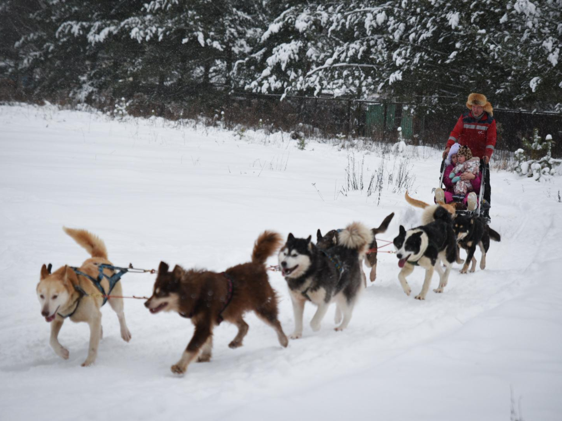 Фото: МедиаБанк Подмосковья/Ольга Антонова