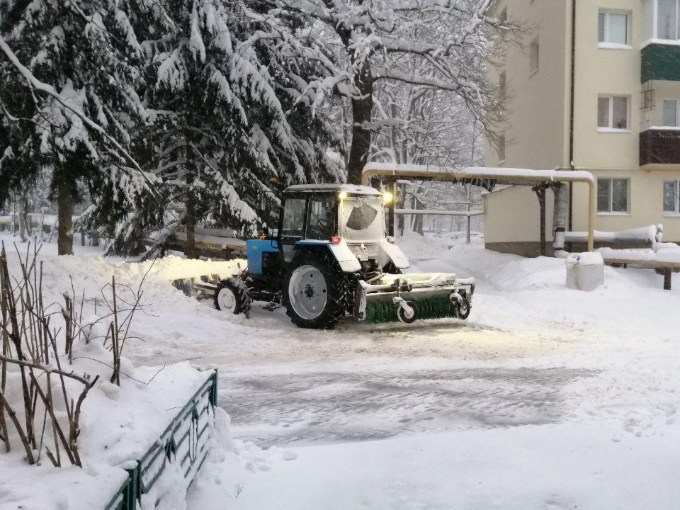 Фото: МедиаБанк Подмосковья/Анастасия Новак