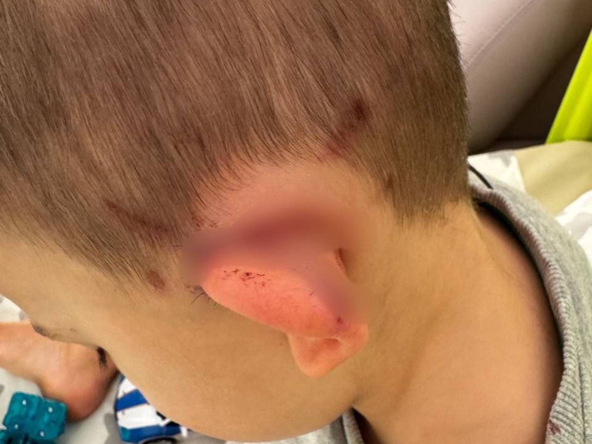 Фото: Денис Г.