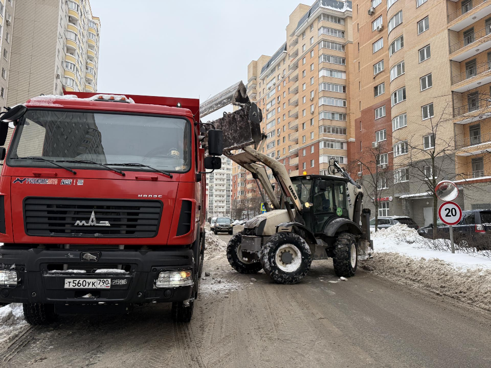 Фото: МедиаБанк Подмосковья/Анна Дука