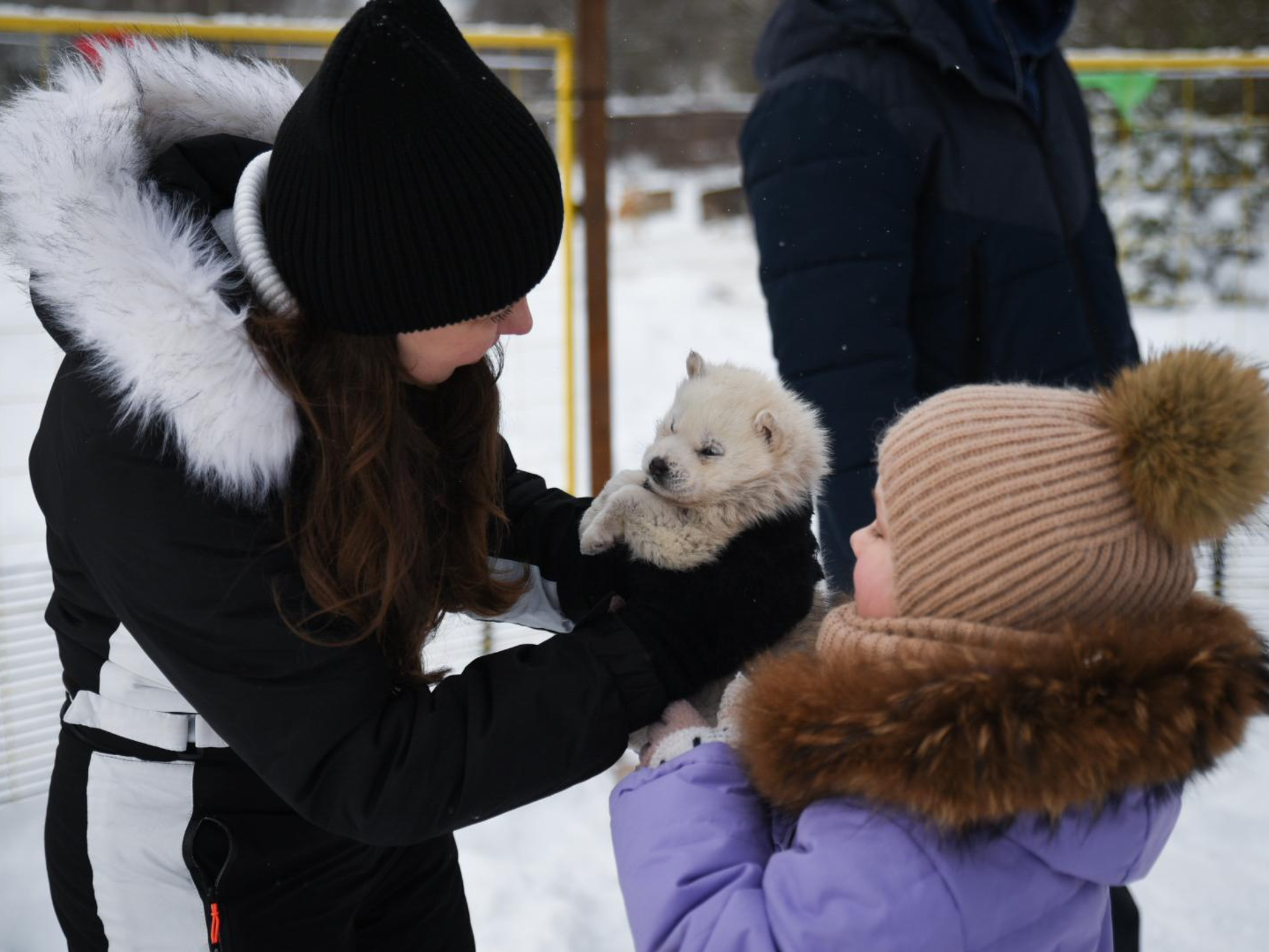 Фото: МедиаБанк Подмосковья/Ольга Антонова
