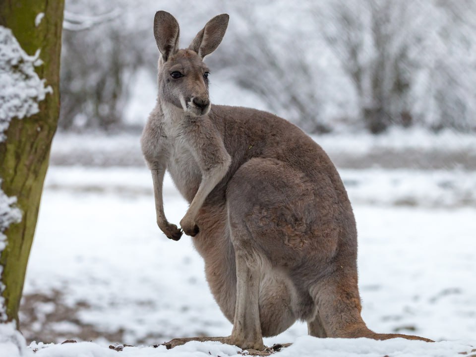 Фото: istockphoto.com/Natalia Bubochkina