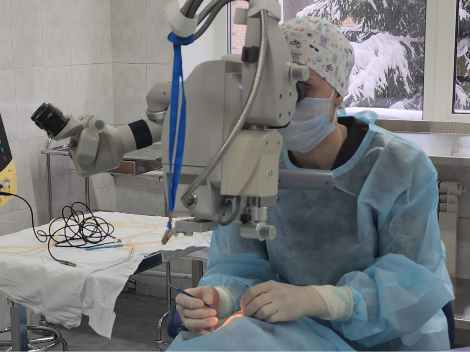 Фото: МедиаБанк Подмосковья/Наталья Лымарь