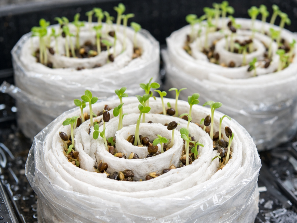 Фото: REGIONS/Сгенерировано нейросетью