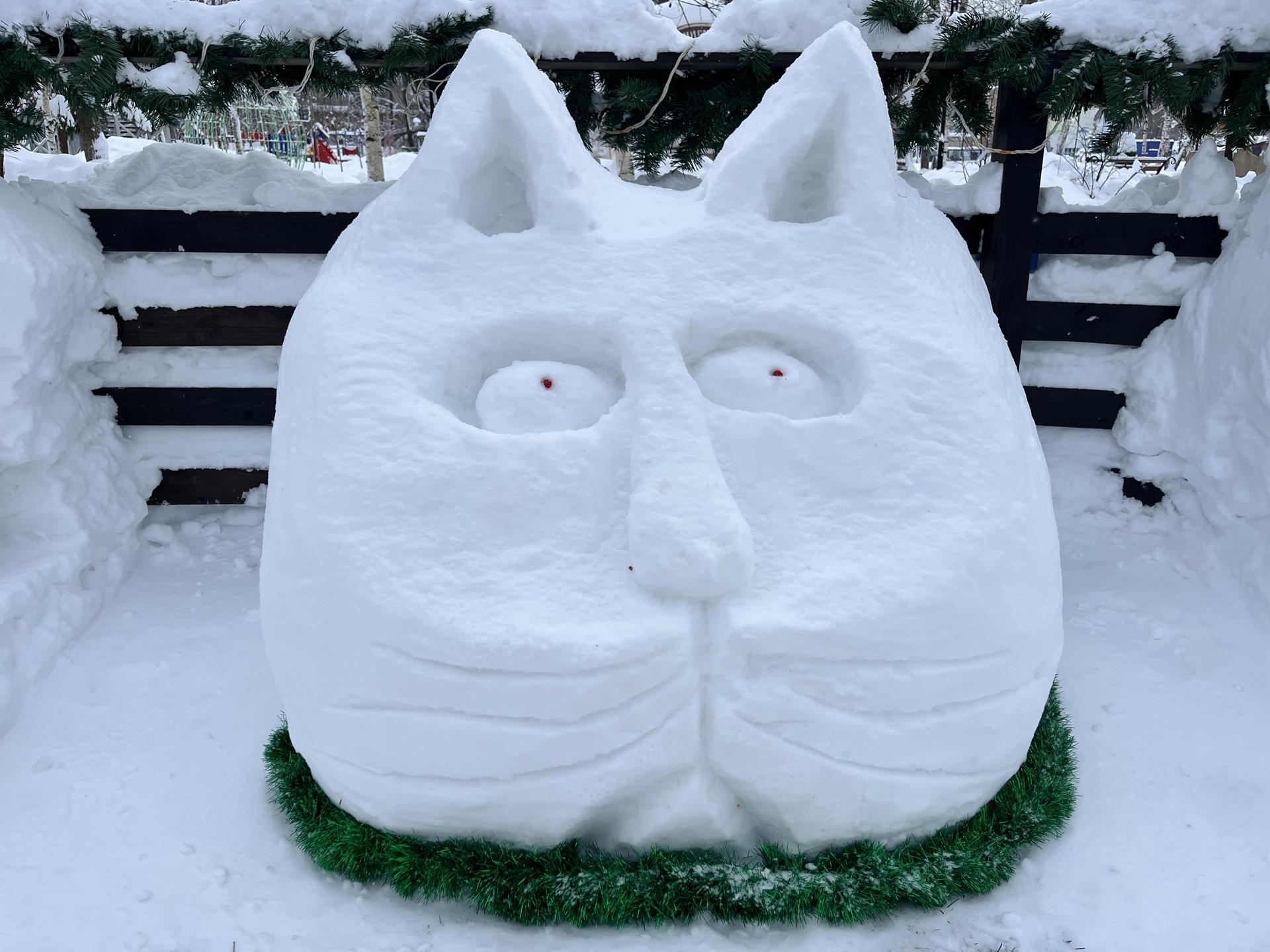 Фото: МедиаБанк Подмосковья/Ангелина Стельмух