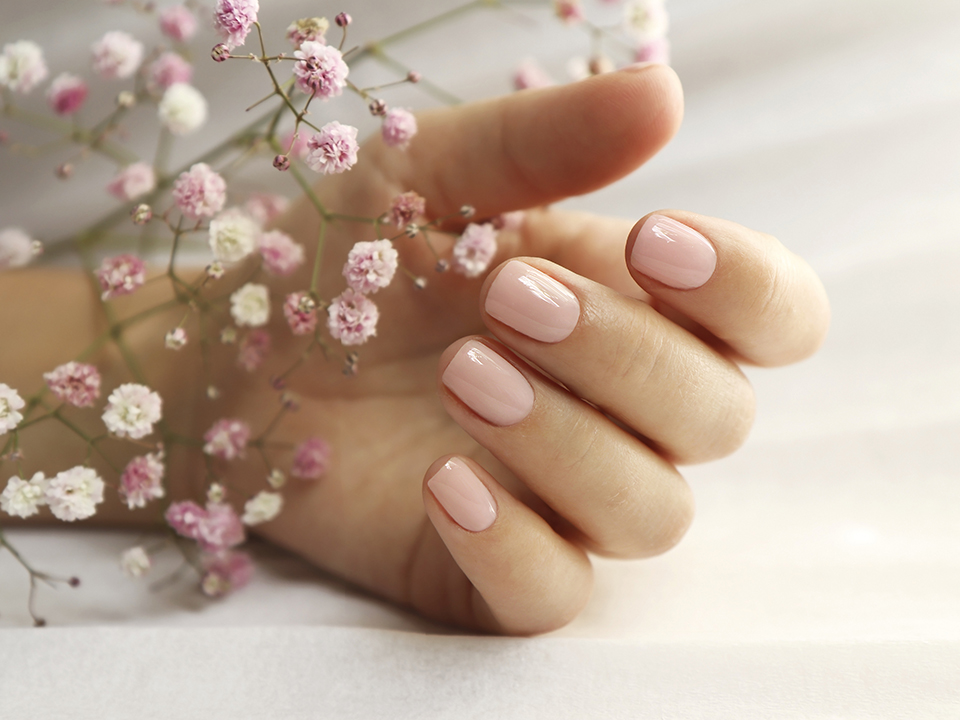 Фото: istockphoto.com/marigo20