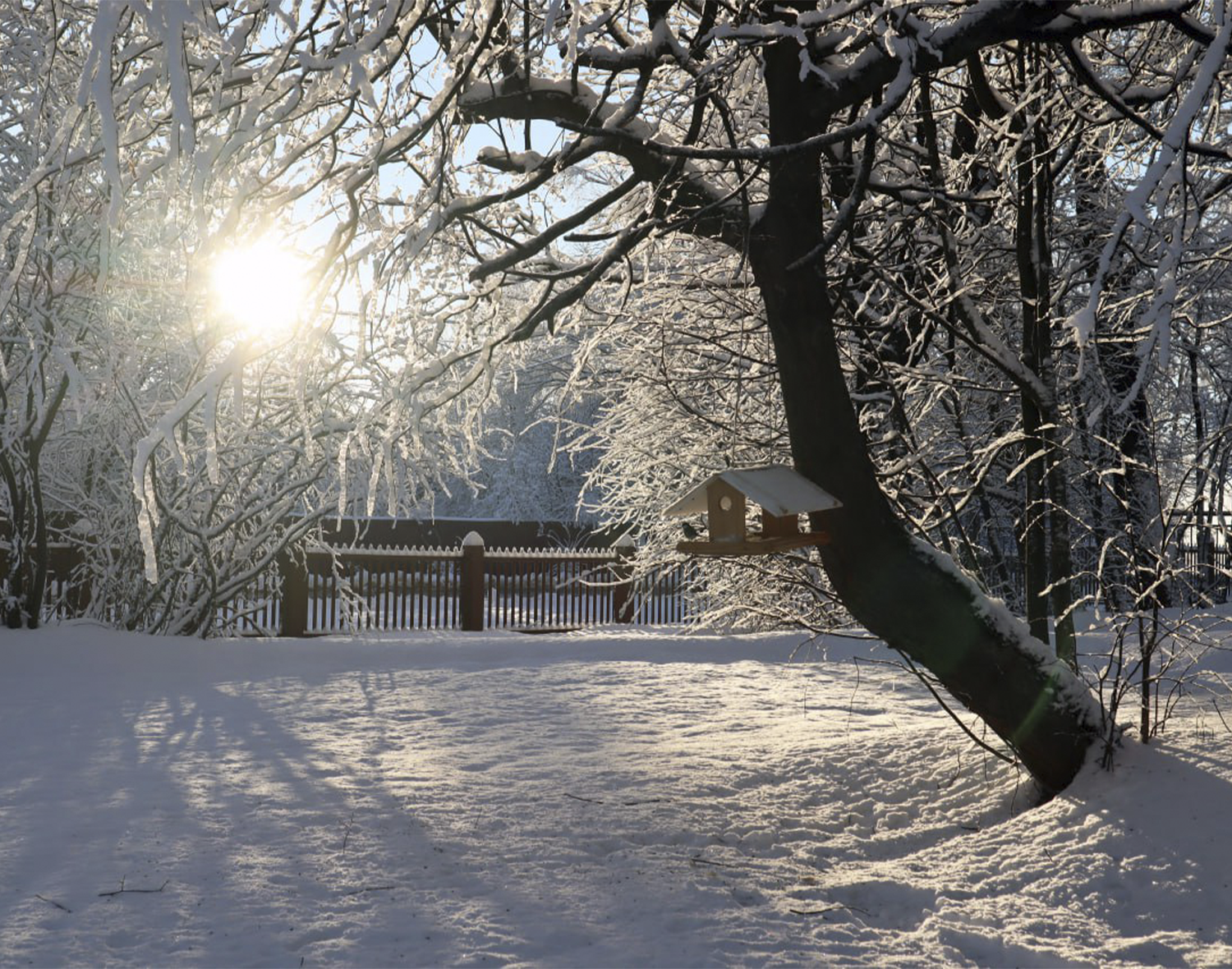 Фото: Коломенско-Зарайский музей-заповедник